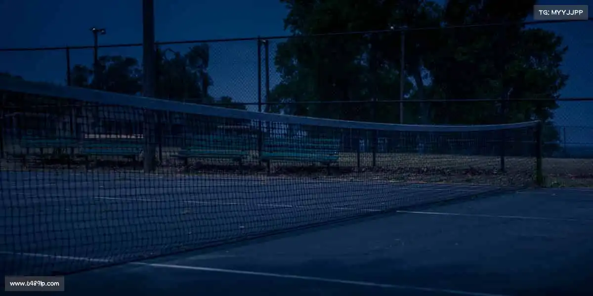 WePoker🏀 用汗水投篮，让梦想精准入框！